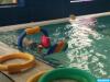 Oppsummering av svømmeundervisning for seniorgruppen i barnehagen Planskisse 1 svømmebarnehage
